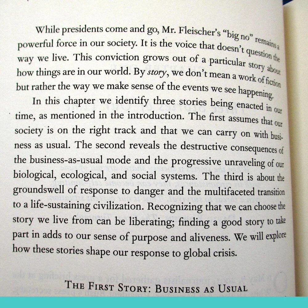 Book - Active Hope: How to Face the Mess We're in Without Going Crazy - Picture 5 of 16